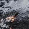 Aviation